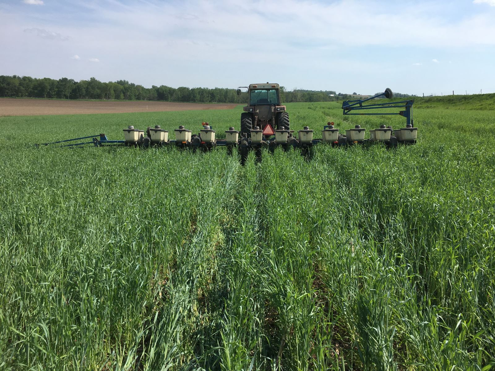 Cover Crops: The Answer to Our Water (and Farming) Woes