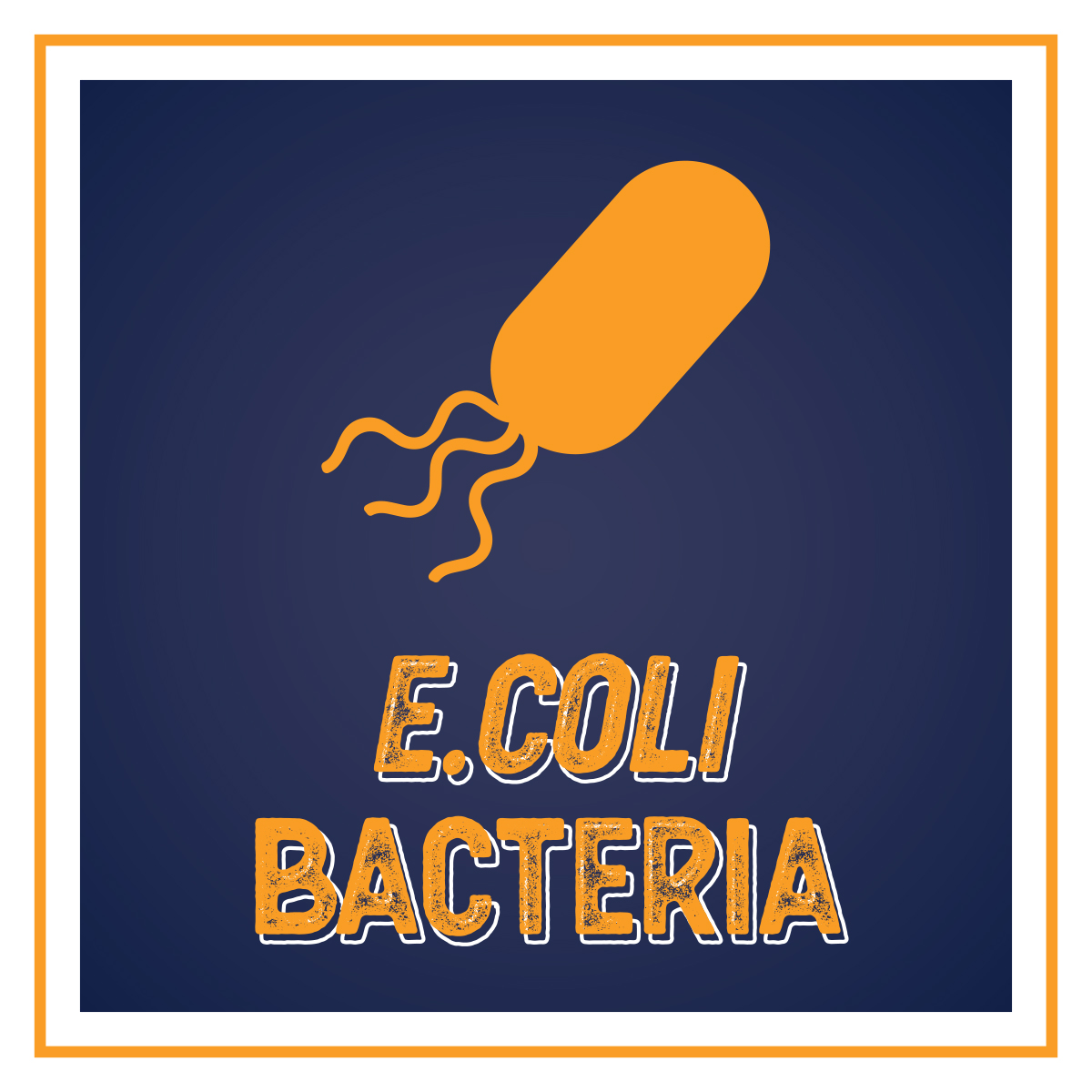 E.Coli Bacteria