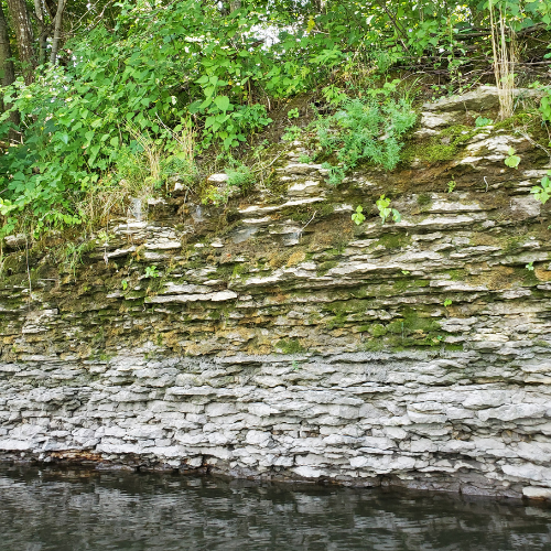 Limestone bluff along river with trees along the top