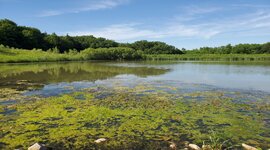 DNR and EPA Revising Implementation of Clean Water Act Section 401