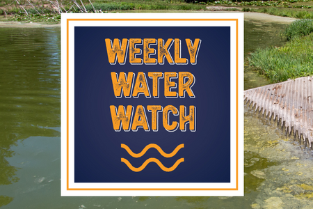 Weekly Water Watch en Español