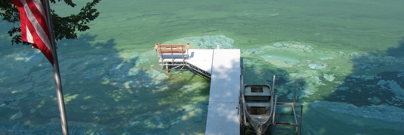 Leading the way to create a safe, healthy environment and sustainable