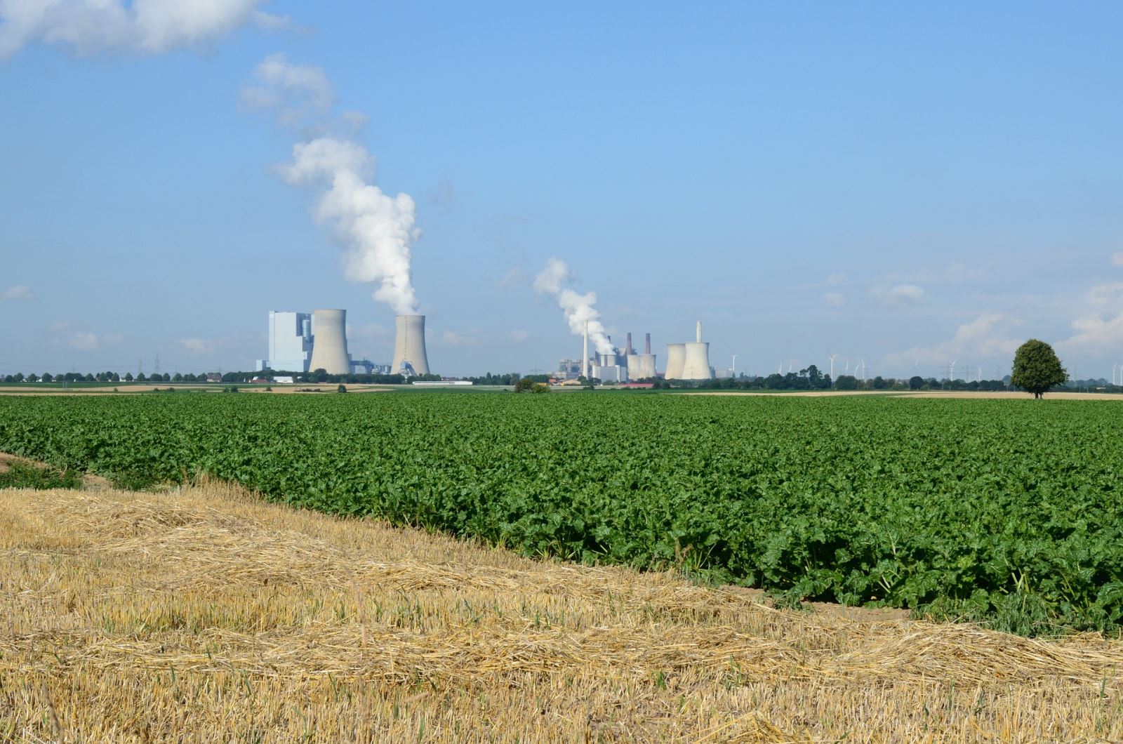 Crops with coal plant in the distance