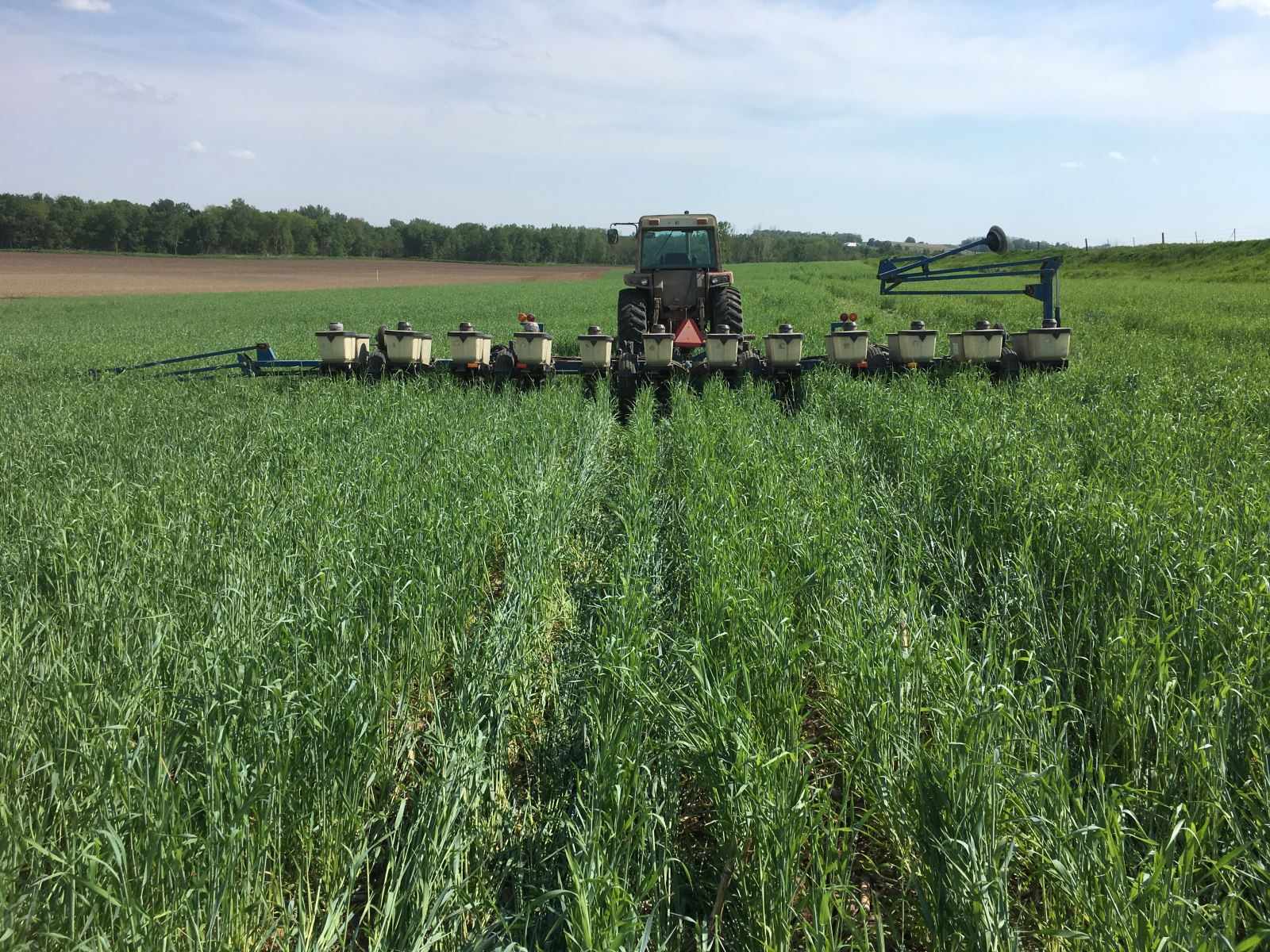 Cover Crop Planting Beans