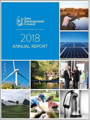 2018 IEC Annual Report