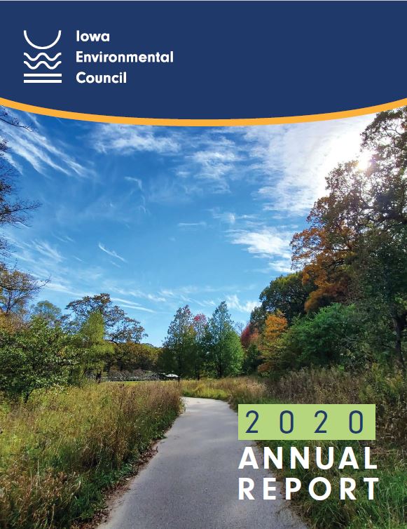 2020 IEC Annual Report