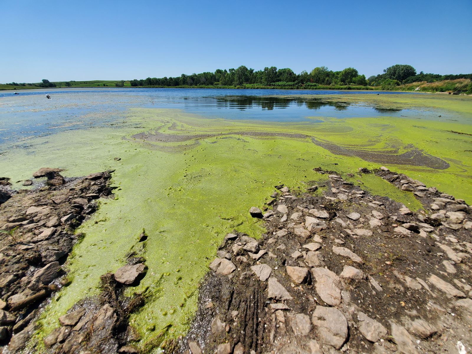 Algae at Prairie Rose State Park boat ramp