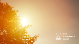 Iowa's Blazing Temps are Driving Rise in Heat-Related Illnesses