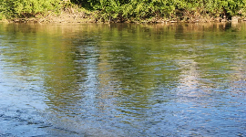Amid Lawsuit Over Iowa's Cancer-Linked Water Pollution, EPA Doubles Down On Inaction