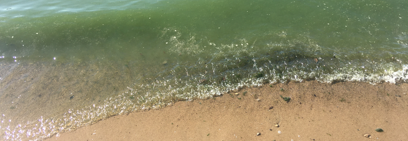 Weekly Water Watch