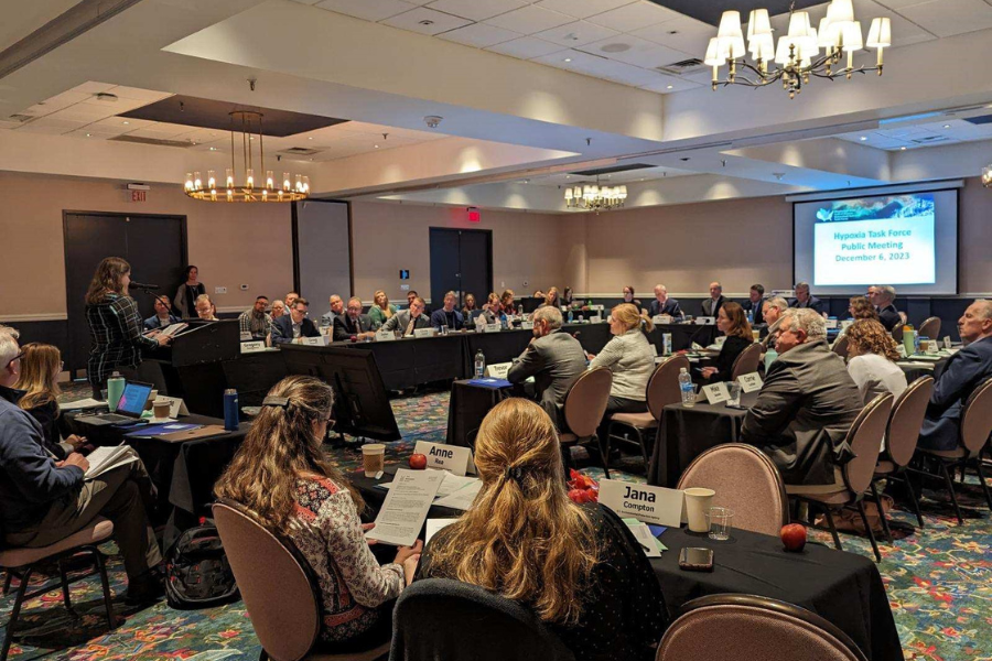 Alicia Vasto at podium with full tables around the room