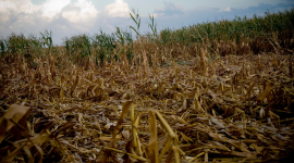 The Iowa Environmental Council Introduces Climate Webinar Series