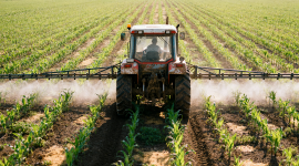 Retracted Glyphosate Study: Making the Case Against Bayer's Immunity