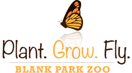 plant.grow.fly. logo