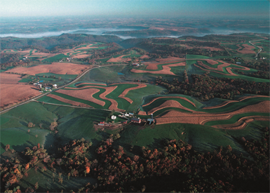 buffer strips