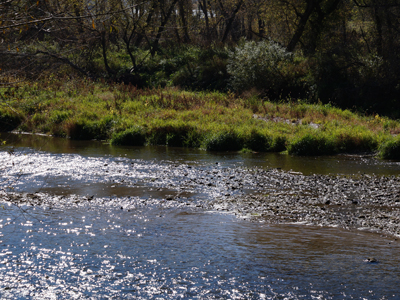 Stream - Council comments on proposed changes to CAFO rules