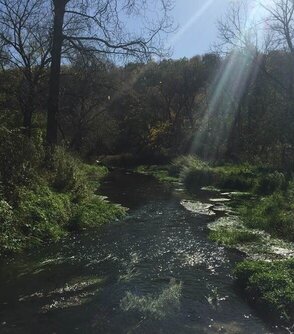 Bloody Run Creek in 2017