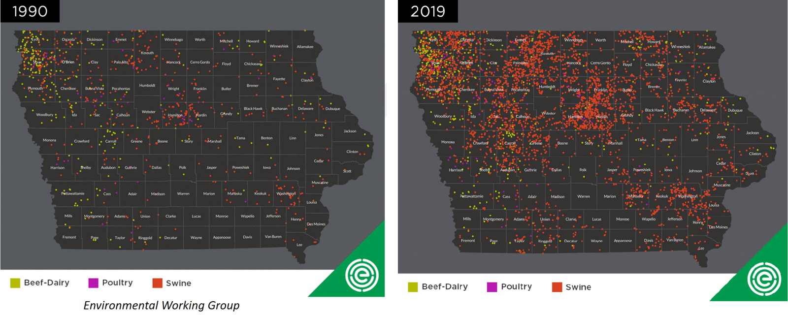 Map illustrating CAFO growth in Iowa from 1990 to 2019, map from EWG