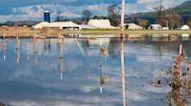 IEC and ELPC Call for DNR to Protect Floodplains from CAFO Pollution