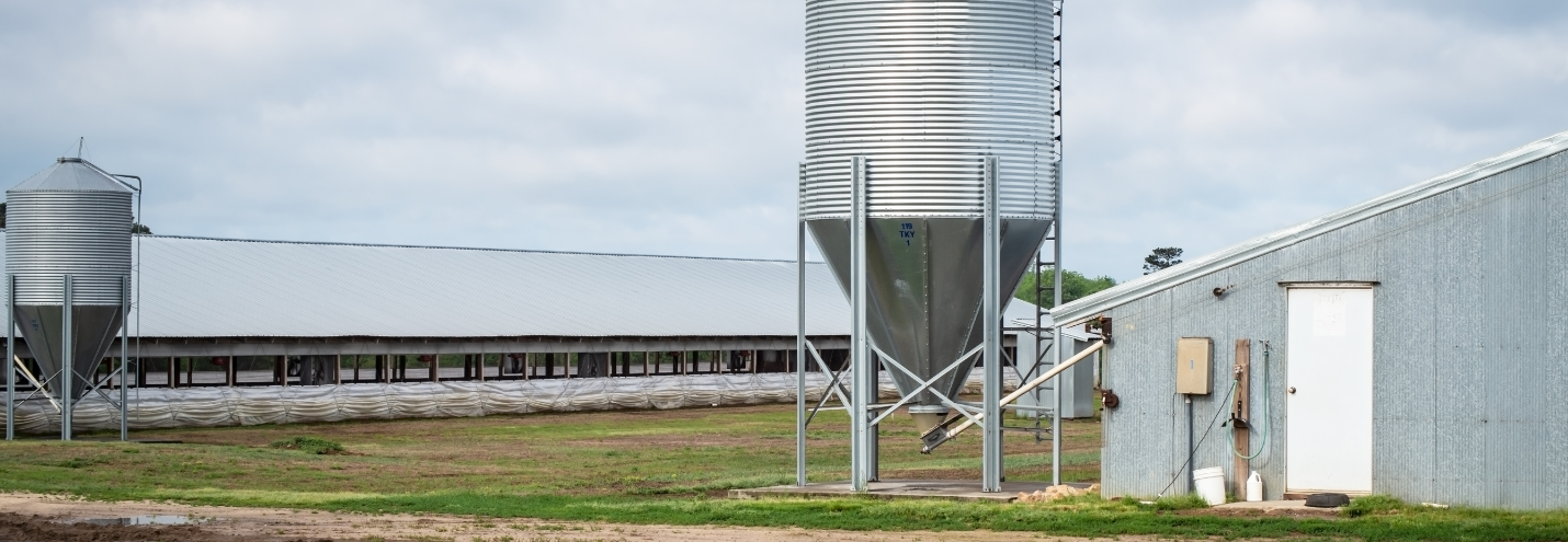 CAFOs