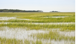 Nature's Treatment Plant: Cedar Rapids' Decade-Long Bet on Working Land Conservation