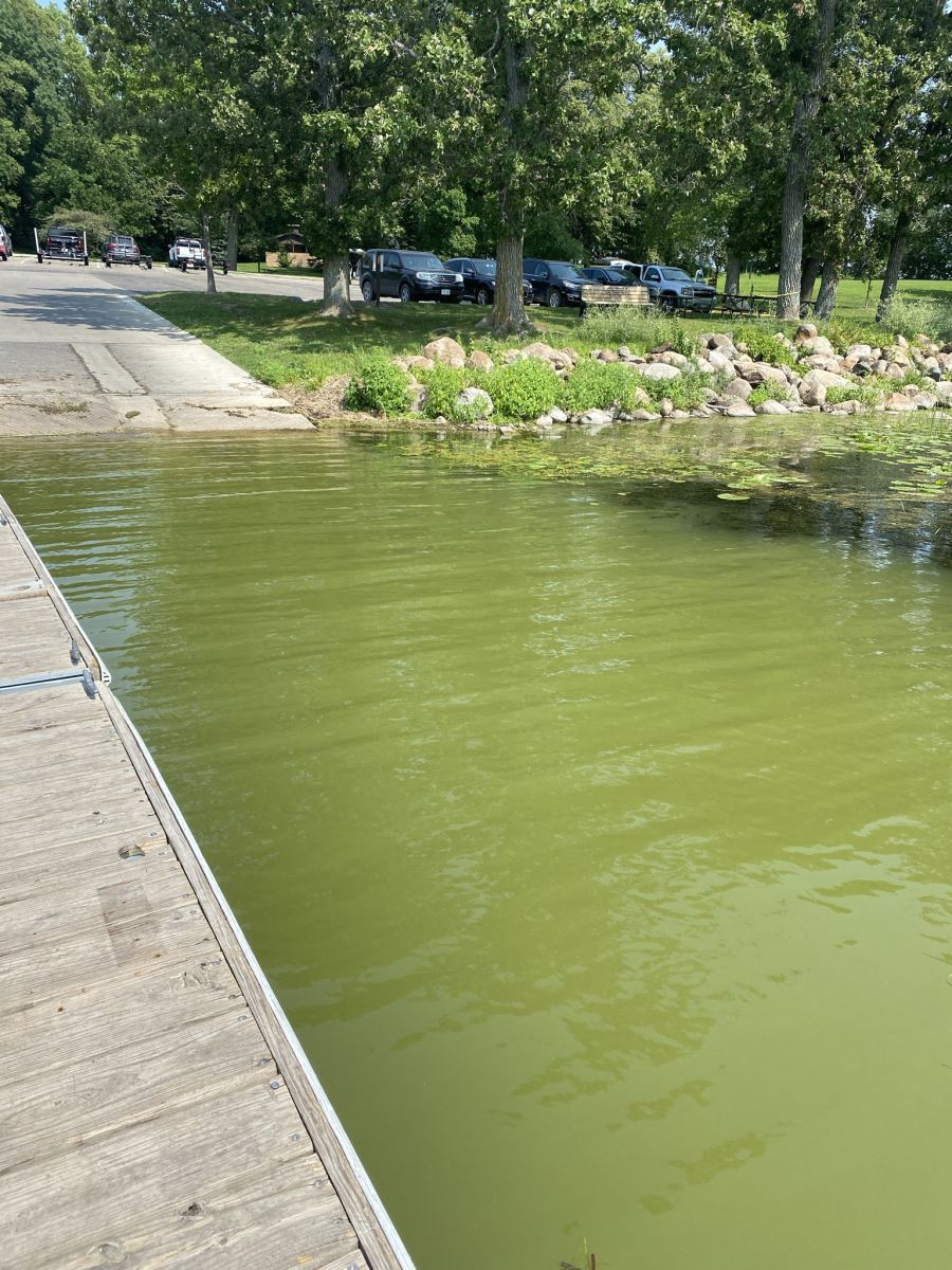 Clear Lake McIntosh Woods algae bloom Aug. 2021