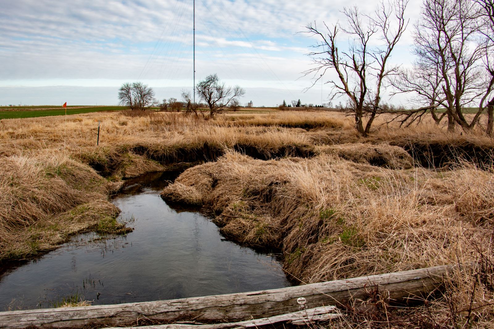 Creek on Lee Tesdell's Century Farm