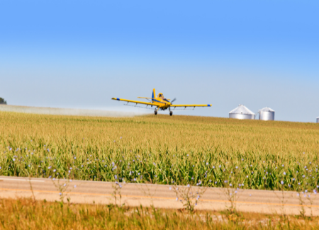 Airplane spraying cornfield