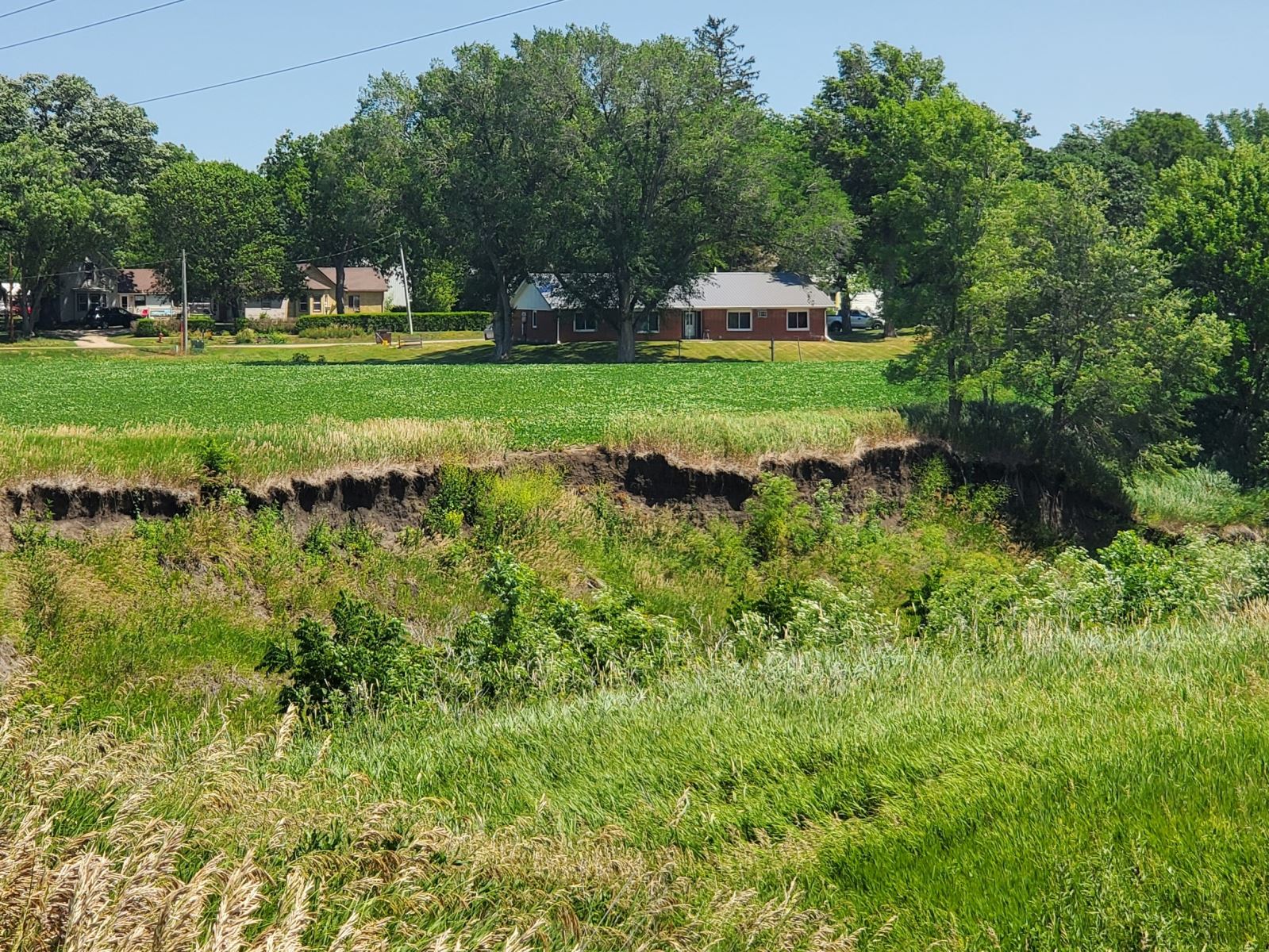 Crop planted up to river bank in Irwin, Iowa