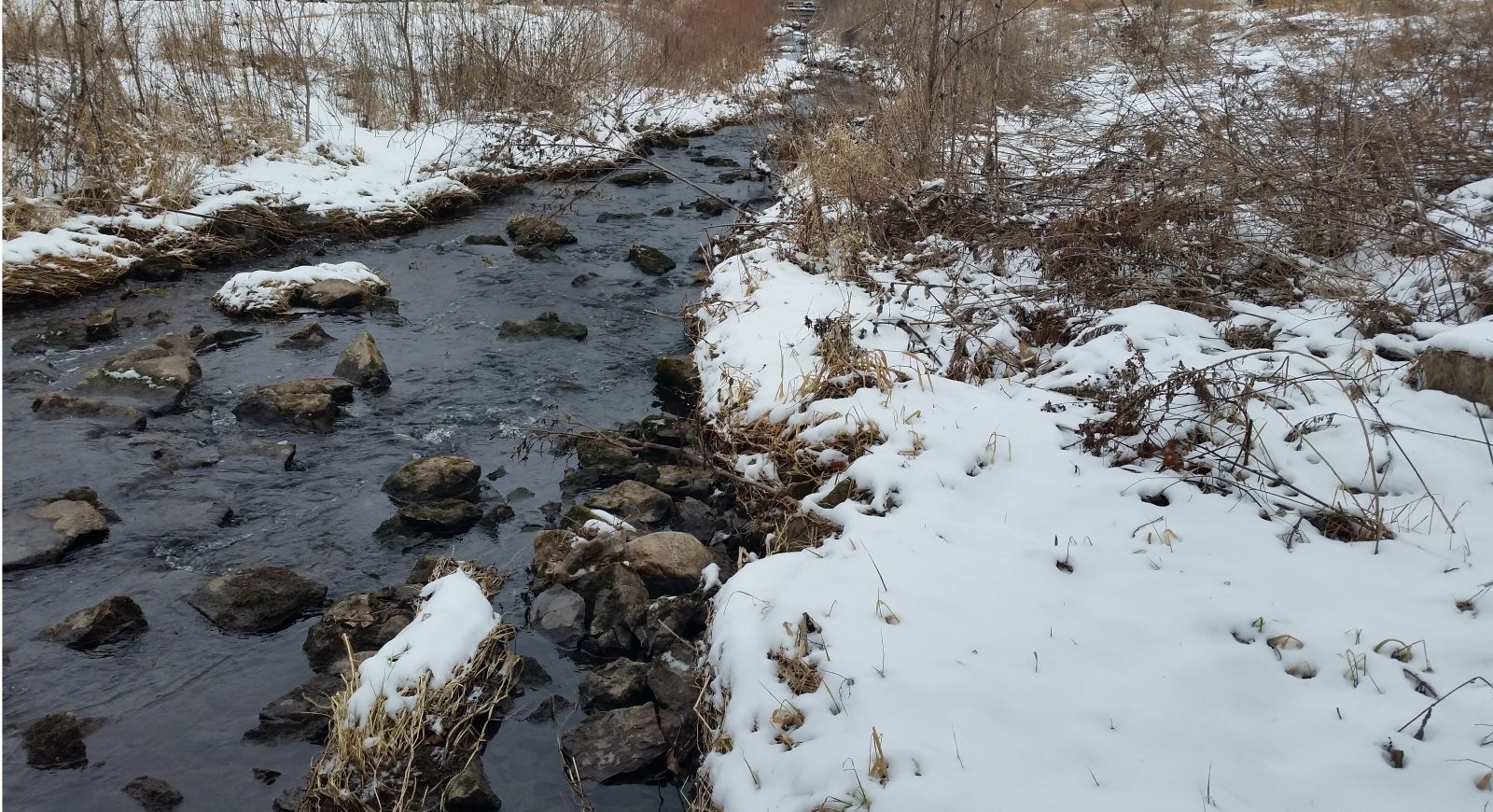 Dry Run Creek Winter