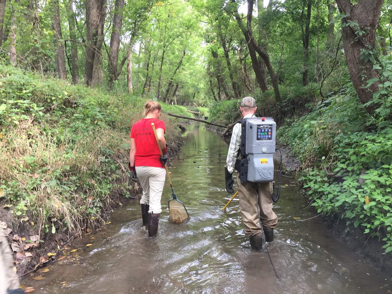 Water testing in a stream