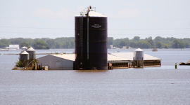 New report analyzes expansion of CAFOs in Iowa's floodplains