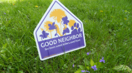 Greening Your Lawn with Good Neighbor Iowa