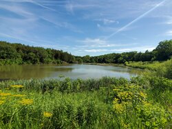 Groesbeck Wildlife Reserve Pond