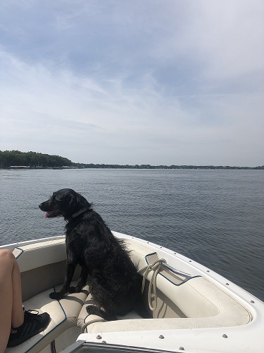 Harper on boat