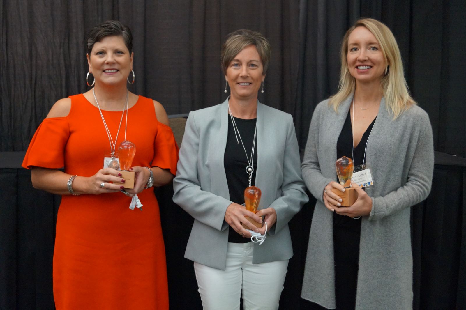 IEC Energy Program award winners 2019