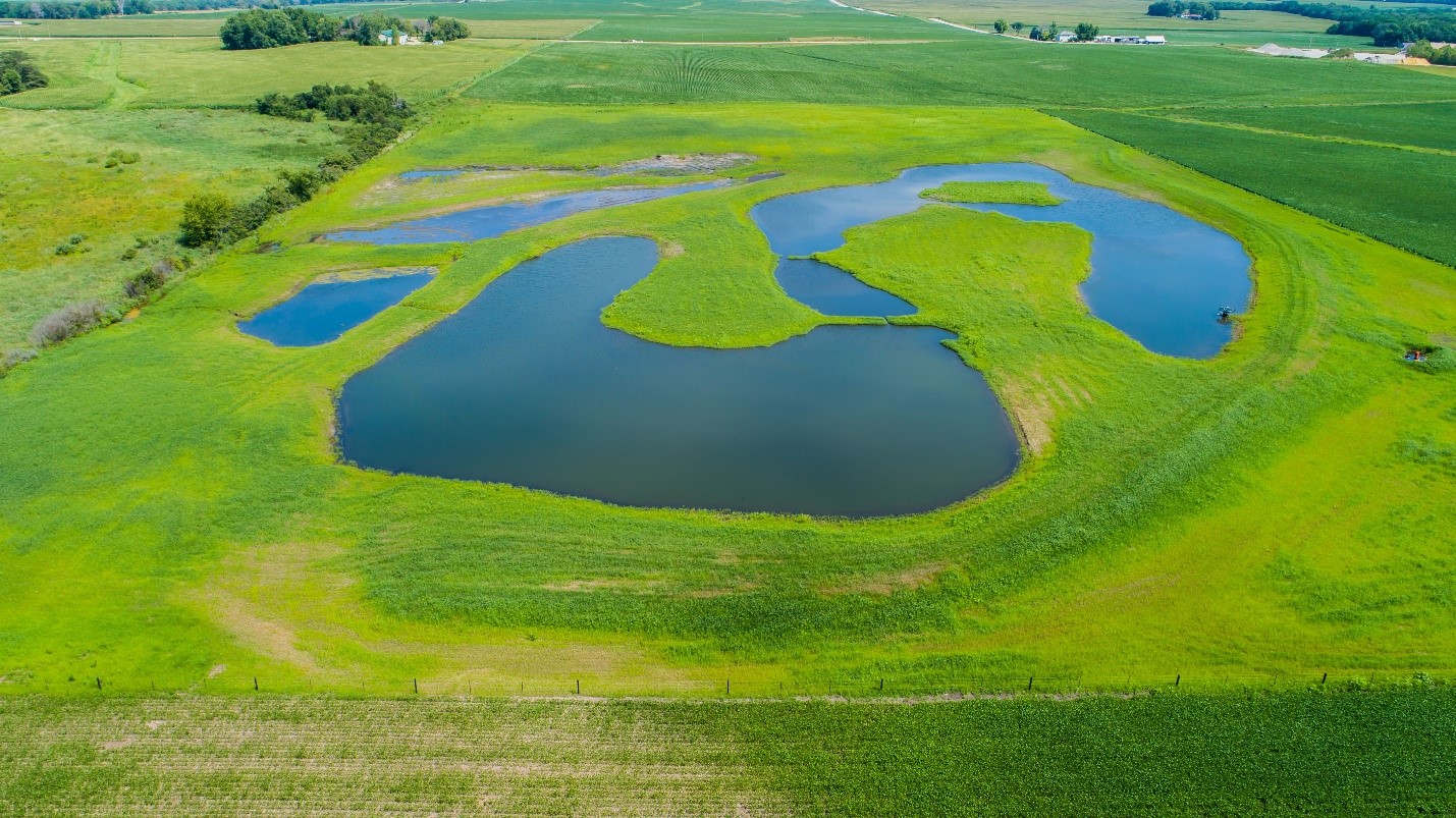 Albert Wetland in the Middle Cedar River Watershed constructed through the IWA project.
