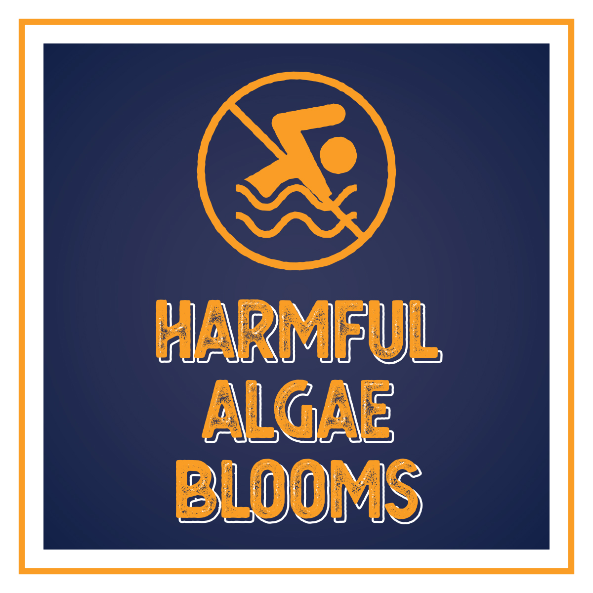 Harmful Algae Blooms