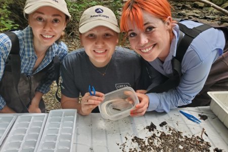 Katie, Ava, and Amelia sorting bugs during training