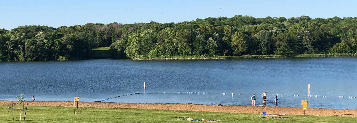 Weekly Water Watch