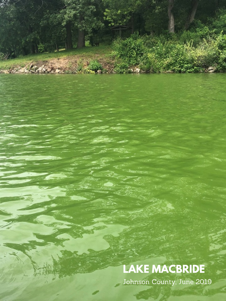 HAB at Lake MacBride, 2019