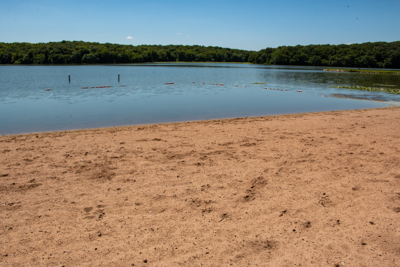 Lake of Three Fires Beach, Taylor Co., July 2022