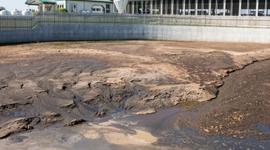 Diving Into Manure Management