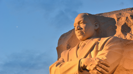 Honoring Vision with Action on MLK Day