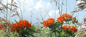 conservation funding