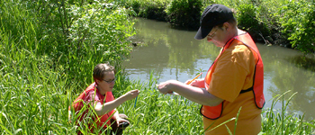 water quality standards and enforcement