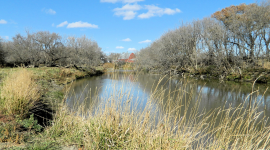 IEC and Partners Sue EPA Over Iowa Waters Impaired by Cancer-Linked Nitrates