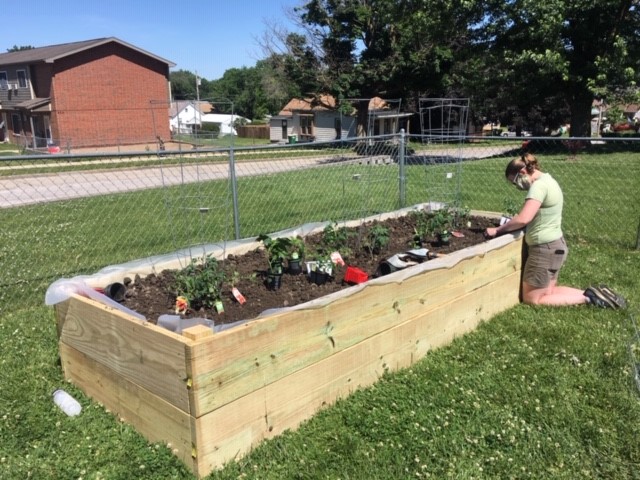 Planting in Creston