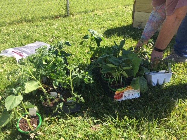 Creston Garden Plans