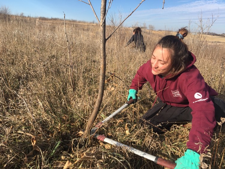 Prairie invasives, Green Iowa Americorps 2022 